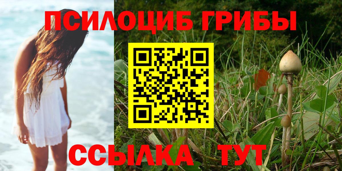 Псилоцибиновые грибы мицелий  где продают   Подольск  Вход с VPN 